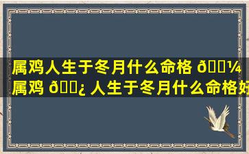 属鸡人生于冬月什么命格 🌼 （属鸡 🌿 人生于冬月什么命格好）